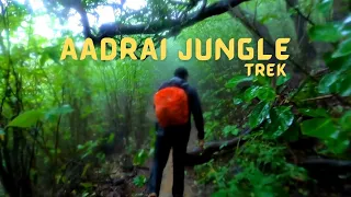 AADRAI JUNGLE TREK - The Unexplored Jungle trek | Aadrai Jungle Vlog | Monsoon trek