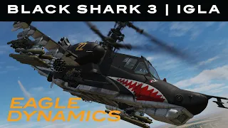 DCS WORLD: KA-50 Black Shark 3 || IGLA Air to Air Missile