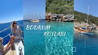 BODRUM TEKNE TURU / ORAK ADASI TURU