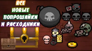 ВСЕ НОВЫЕ ПОПРОШАЙКИ И РАСХОДНИКИ В АЙЗЕКЕ! ОБЗОР-THE BINDING OF ISAAC: REPENTANCE