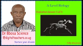 Evolution lesson 3 of 3 or evidences of evolution