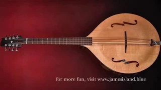 4K Time-Lapse Making of a Mandocello by James Curtis Island