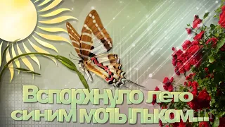 Вспорхнуло лето синим мотыльком… Красивая музыкальная открытка  komur