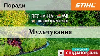 Мульчування: що це і для чого потрібне?