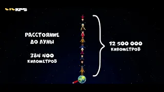 Развлечеба| что такое общество| @ctckids