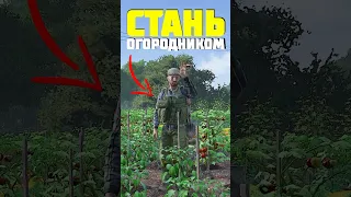 ВСЕ О САДОВОДСТВЕ в DayZ #dayz #дейз