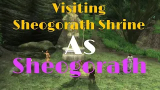 What Happens If You Visit The Sheogorath Shrine After Becoming Sheogorath? (TES4: Oblivion)