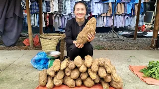 Harvest Wild Tubers and bring them to the market to sell, My daily life l Ly Thi Tam