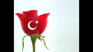 اغنية تركية مترجمة [ Çok Seviyorum _ كثير أحبك ]