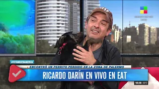 Ricardo Darín encontró un perrito perdido en la calle y pasó a contárselo a Leo Montero 🐶