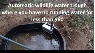 Automatic wildlife water trough for less than $60