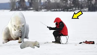 Медведица пришла к рыбаку за помощью. Дальше произошло ужасное!