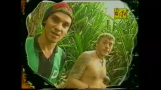 Mano Negra   Casa Babylon Mtv 1994