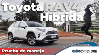 Test Toyota RAV4 Híbrida: Ninja del consumo | Autocosmos