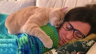 Cat and Their Human Have The Most Perfect Friendship