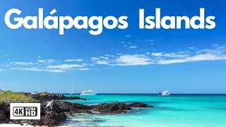 Galápagos Islands 4k ULTRA HD