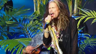 "Dream On" -- Steven Tyler, Willie K, Mick Fleetwood, Buck Johnson