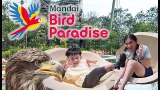 Bird Paradise Singapore - Things to take note of