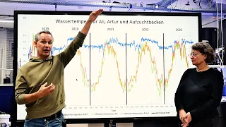 Die Grundlagen zur Wassertemperatur Teil 2 | Modern Koi Blog #6378