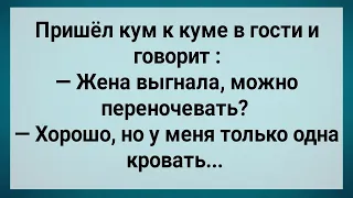 Как Кум с Кумой На Одной Кровати Спали! Сборник Свежих Анекдотов! Юмор!