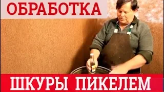 Пикелевание шкуры. Выделка шкур