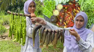 HASIL MANCING DI SAWAH TERUS MASAK PUYU PETAI BERLADO ..Puas hati ‼️