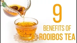 9 Amazing Ways Rooibos Tea Can Benefit Your Health | Organic Facts