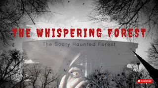 The Whispering Forest A Moonlit Mystery