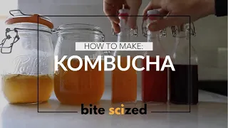 HOW TO MAKE: KOMBUCHA [easy at-home science experiments]