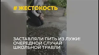 Школьницы заставили пить из лужи сверстницу