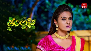 Thulasi | 27th May 2024 | Full Episode 143 | ETV Plus