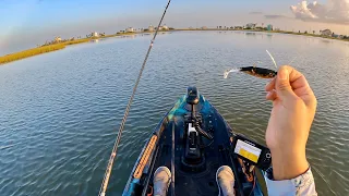 **I MESSED UP** Redfish Tailing Everywhere (S6 E84)