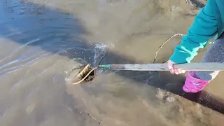 Draining a Flooded Parking Lot: Satisfying Storm Drain Clearing! Giant Whirlpool!