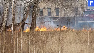 В Тюменской области из-за лесных пожаров начали гореть дачи