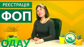 Реєстрація ФОП. Аліса Шевченко