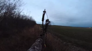 Moose Hunt, Andy Krieger at Mike's Outfitting in Alberta