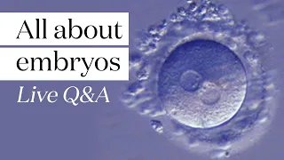 All about embryos! Charles Chats Fertility | CARE Fertility