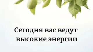 Сегодня вас ведут высокие энергии.