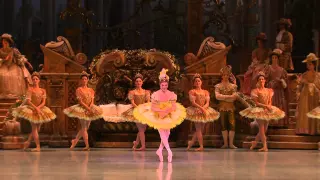 Sleeping beauty fairy variation - Charline Giezendanner