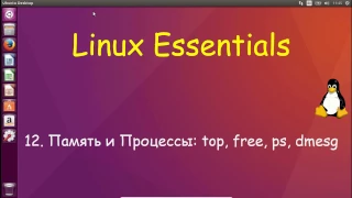 Linux для Начинающих - Процессы и Память: top, free, ps