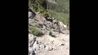 Black Bear Pass - near rollover