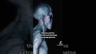 Real alien footage