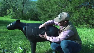 Shot Placement On Black Bears