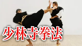 【World martial arts】Shorinji Kempo 少林寺拳法