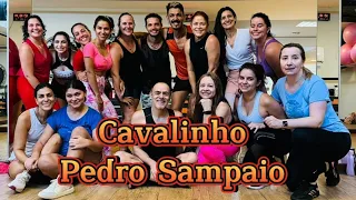 CAVALINHO - Pedro Sampaio