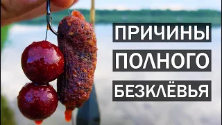 ПРИЧИНЫ БЕЗКЛЁВЬЯ. Что делать если не клюёт