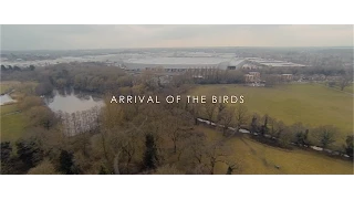 Arrival Of The Birds//Sony A7s pp6 test.