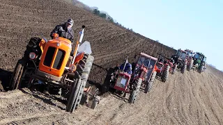 Vintage Tractor Plowing Day 2024