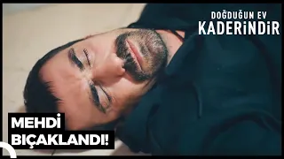 Hapiste Hain Saldırı | Doğduğun Ev Kaderindir