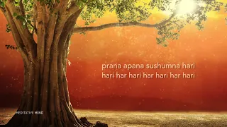 Bài thiền giúp bạn an nhiên magical healing mantras ✓ prana apana sushumna hari